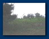 So, er, where did you say TX C was?